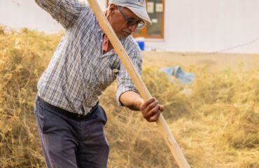 Trabalhador rural em atividade no campo em conteúdo sobre como comprovar tempo rural para aposentadoria