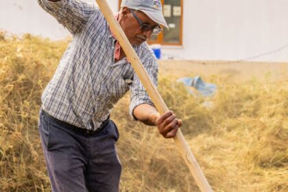 Trabalhador rural em atividade no campo em conteúdo sobre como comprovar tempo rural para aposentadoria