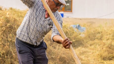 como comprovar tempo rural para aposentadoria Trabalhador rural em atividade no campo em conteúdo sobre como comprovar tempo rural para aposentadoria