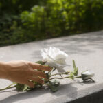 Mão colocando uma flor branca sobre um túmulo, simbolizando luto e pensão por morte no INSS.