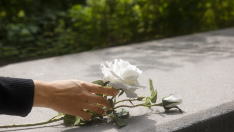 Flor branca sobre túmulo representando pensão por morte Mão colocando uma flor branca sobre um túmulo, simbolizando luto e pensão por morte no INSS.